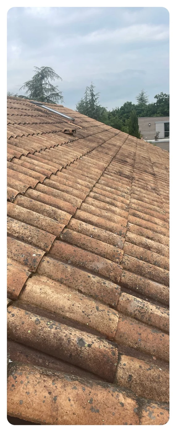 Tuiles avant nettoyage